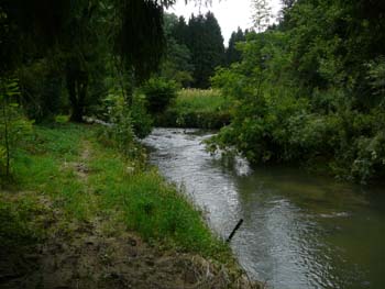 P1040960