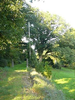 P1060348