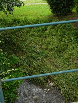 P1040794