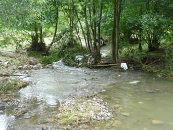 P1040848