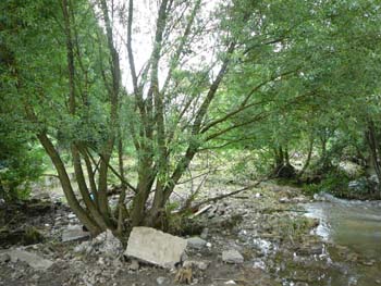 P1040854