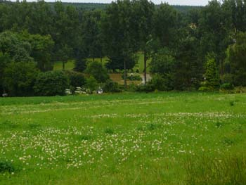 P1040861