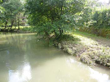 P1040908