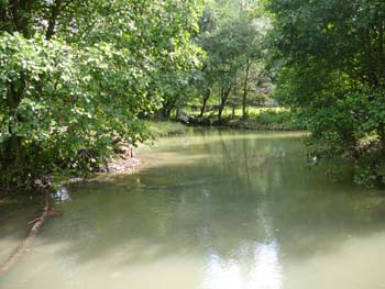 P1040909
