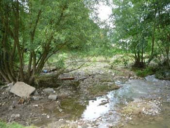 P1040918